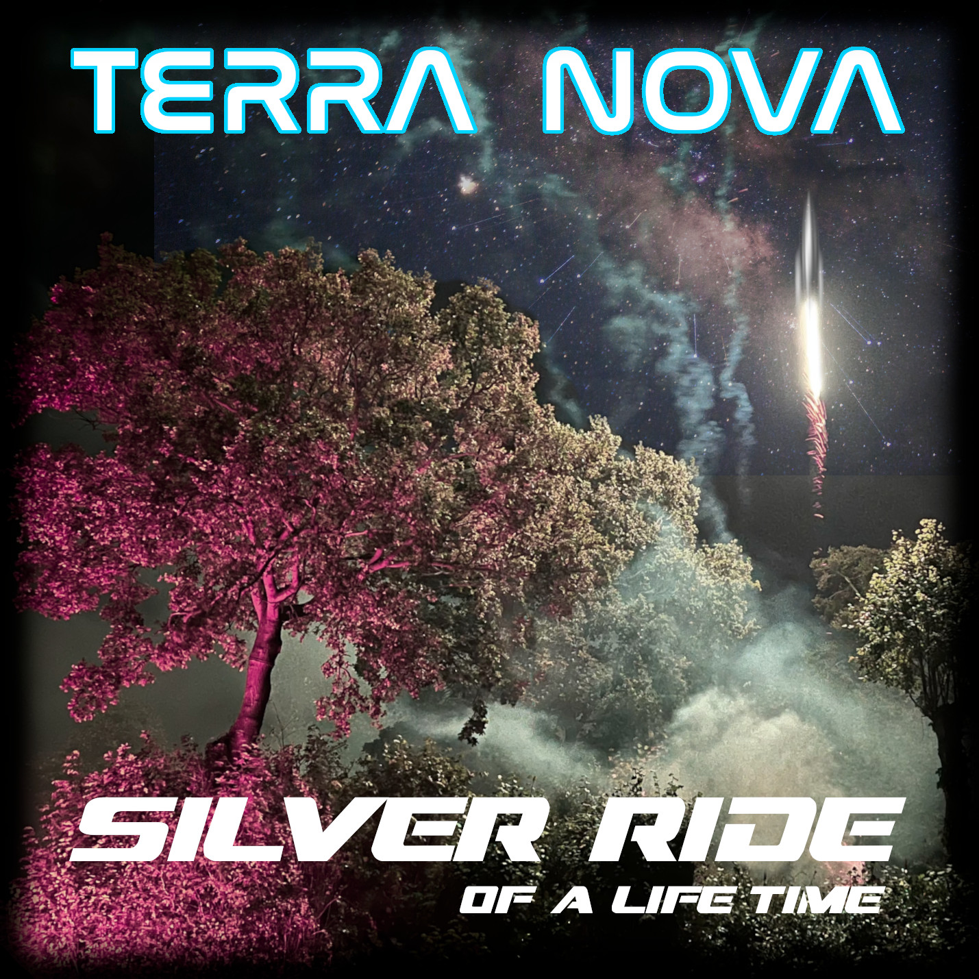 Silver Ride of a Lifetime artwork
