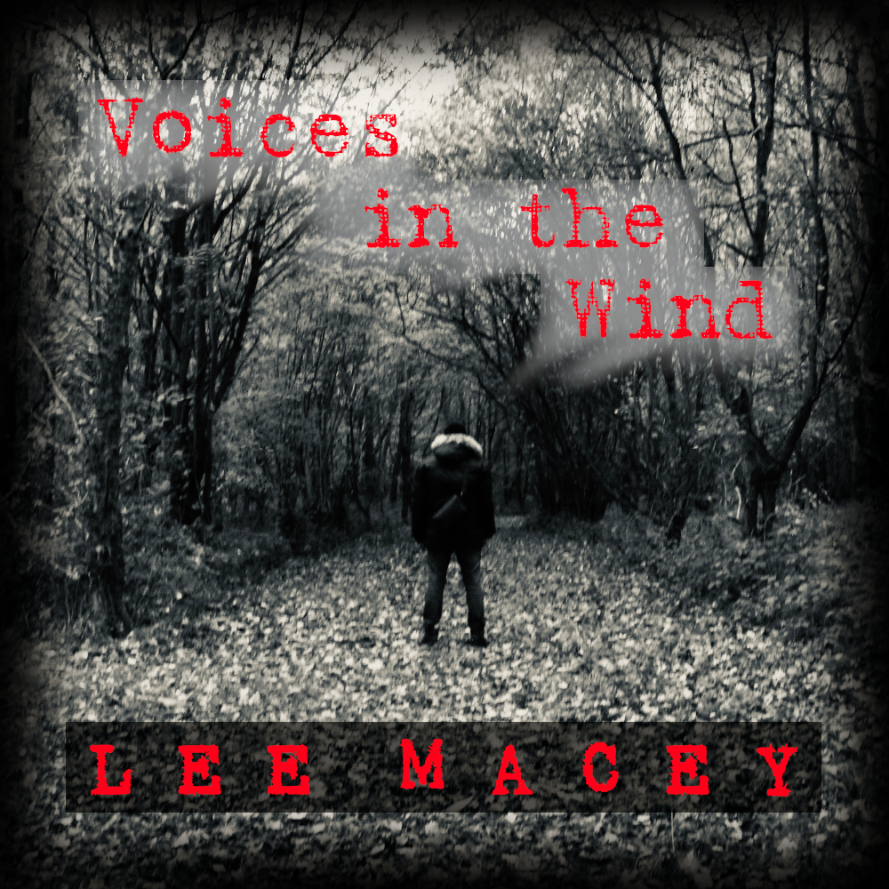 Voices in the Wind artwork